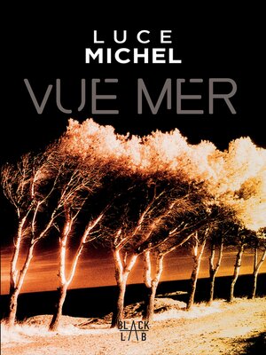 cover image of Vue mer